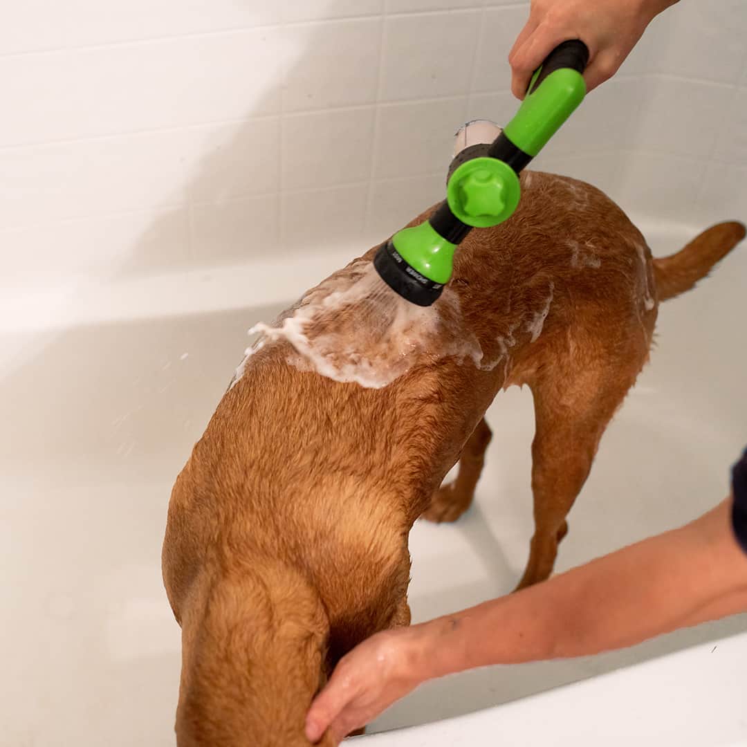 動物用の簡単で迅速なクリーニングスプレー